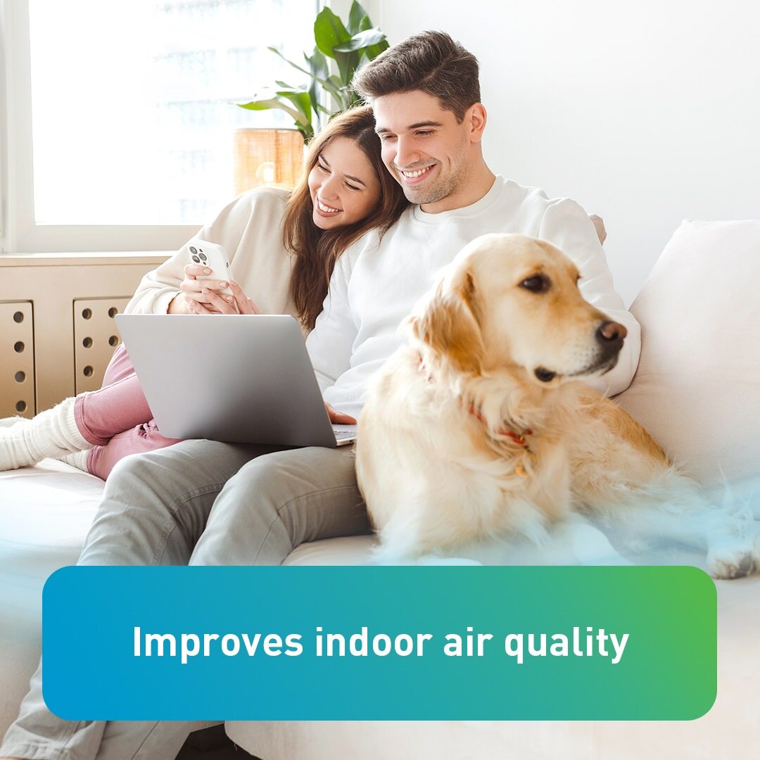Couple relaxing on a couch with a dog, smiling while looking at a laptop, with text overlay reading “Improves indoor air quality.”