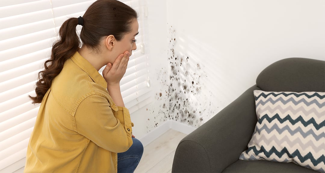 iaq25125web-why-summer-is-prime-time-for-mold-hero-r3-1080x576