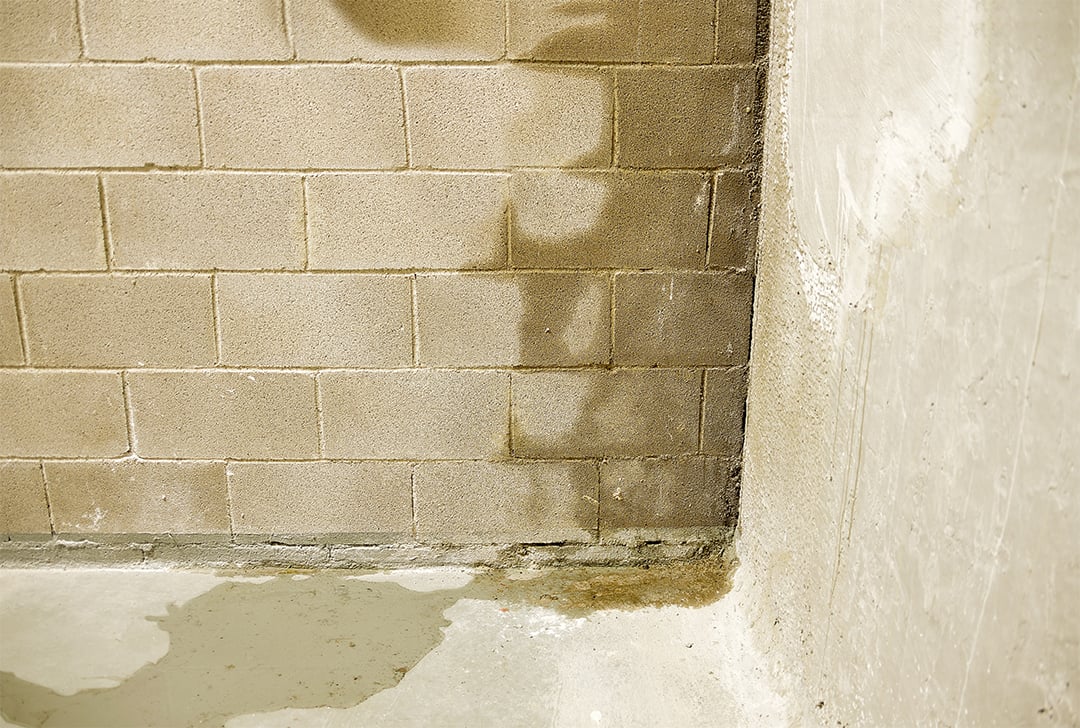 iaq25134web-musty-smell-in-the-house-image-2-1080x728