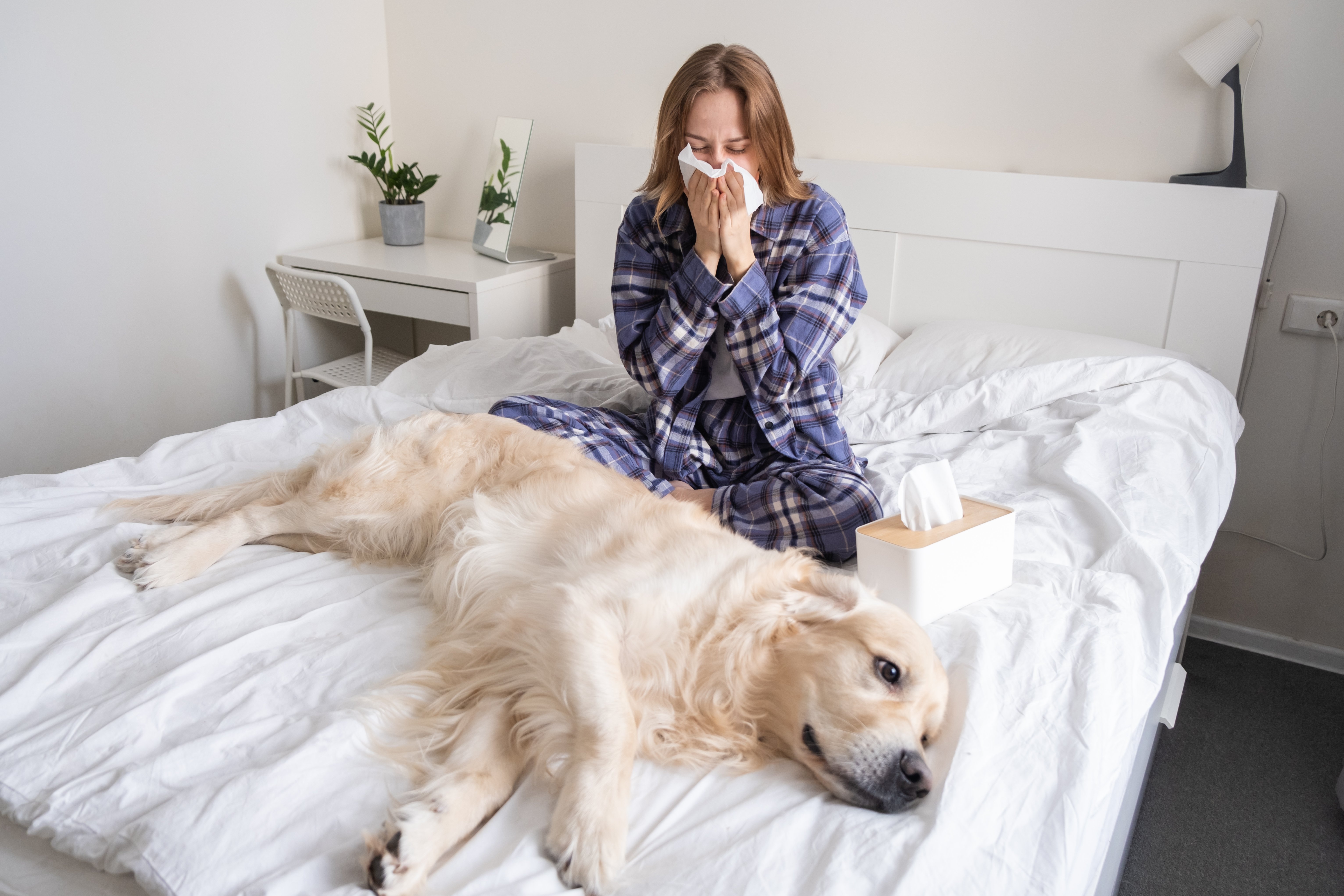 shutterstock_2140326891_lady with dog